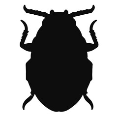 Scarab Beetle Animal