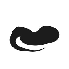 Sawscaled Viper Animal