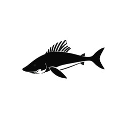 Obraz premium Black Sawfish Illustration
