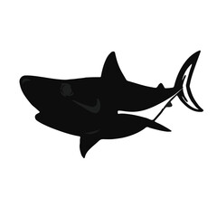 Obraz premium Salmon-Shark marine creature