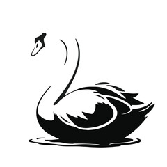 Obraz premium Black Swan Animal