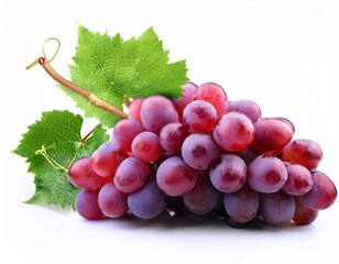 Fototapeta premium fresh ripe red grapes with bright green leaves on the vine isolated on a white background