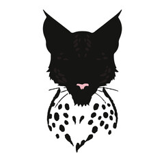 Black Serval Animal © Waleed