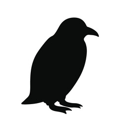 Obraz premium Rockhopper Penguin Illustration