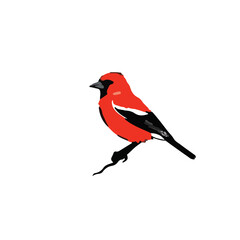 Obraz premium Red Finch Illustration