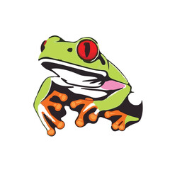 Obraz premium Red-Eyed Tree Frog
