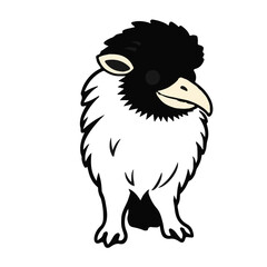 Black Ragamuffin Animal © Waleed