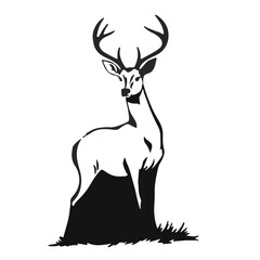 Black Roe Deer © Waleed