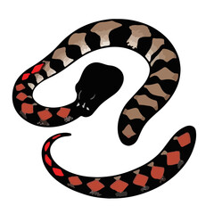 Naklejka premium Animated Red Tail Boa