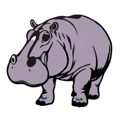 Pygmy Hippo Illustration