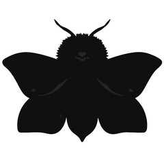 Black Puss Moth