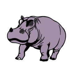 Pygmy Hippo Illustration