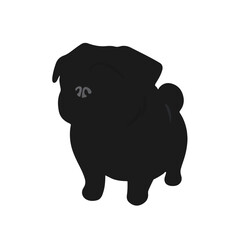 Black Pug Shire Animal