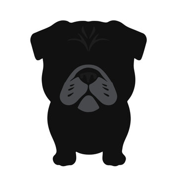 Black Puggle Mascot
