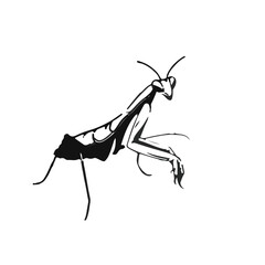 Praying Mantis Symbol