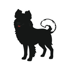 Portuguese Podengo Dog Portrait