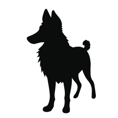 Portuguese Podengo Pet