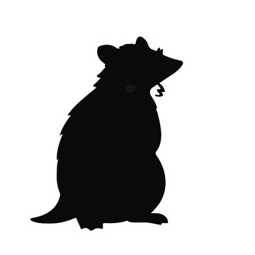 Black Potoroo Illustration
