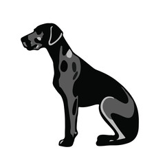 Plott Hound Mix Animal