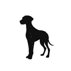 Plott-Hound-Mix Animal
