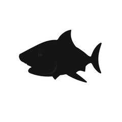 Black Piranha Illustration