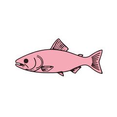 Pink Salmon Animal