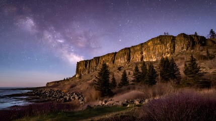 Dramatic coastal cliff face under a starlit night sky.