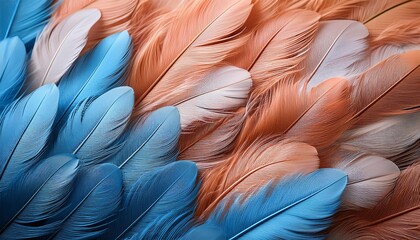 Naklejka premium a vibrant close up of blue and peach feathers layers together showcasing intricate textures and hues in a beautiful abstract composition