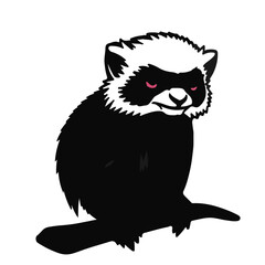 Pied Tamarin Primate