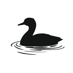 Pied-billed Grebe Illustration