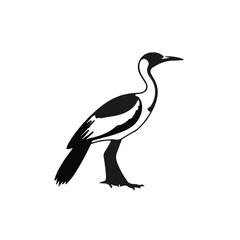Jacana Bird