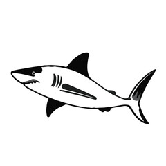 Pacific Sleeper Shark