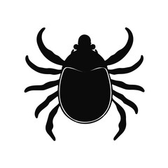 Pacific Coast Tick Animal