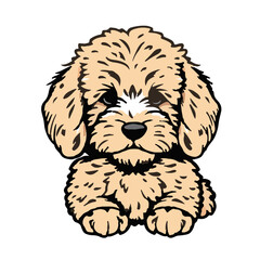Petite Golden Doodle