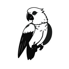 Dracula's Parrot Illustration