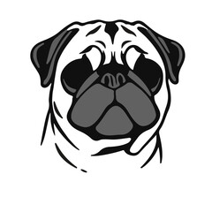 Black Pug-Mix Animal