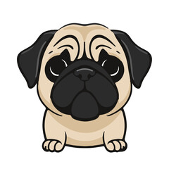 Black Pug-Mix Animal