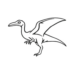 Black Pteranodon © Waleed