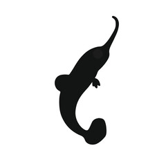 Black Pipefish Illustration