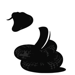 Black Pipe Snake Animal