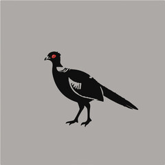 Black Pheasant wildlife