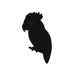 Black Parrot Illustration