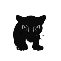 Black Panther Animal