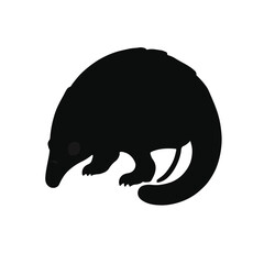Black Pangolin Animal