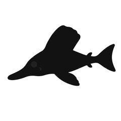 Black Paddlefish Animal