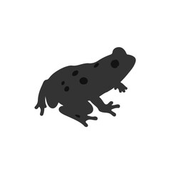 Black Frog Animal
