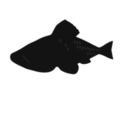 Abstract Fish Artwork