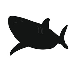 Nurse Shark Illustration