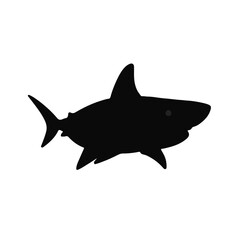 Nurse Shark Marine Life