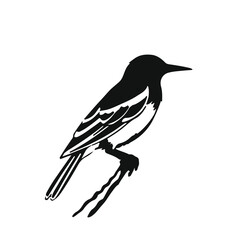 Nightingale Animal